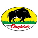 Pennelli Cinghiale